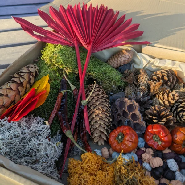 Natuurlijke bloemisterij displaybox